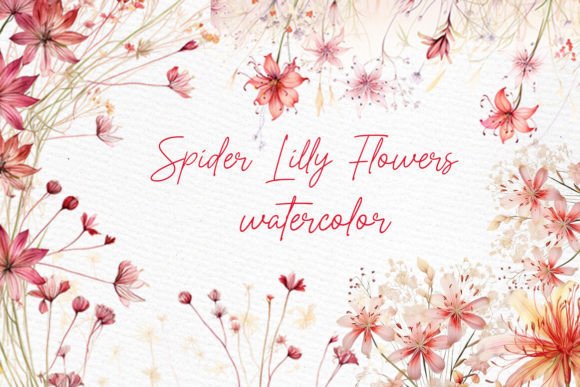 Lily Flowers Clipart Spider Lilly Png: Elevate Your Designs