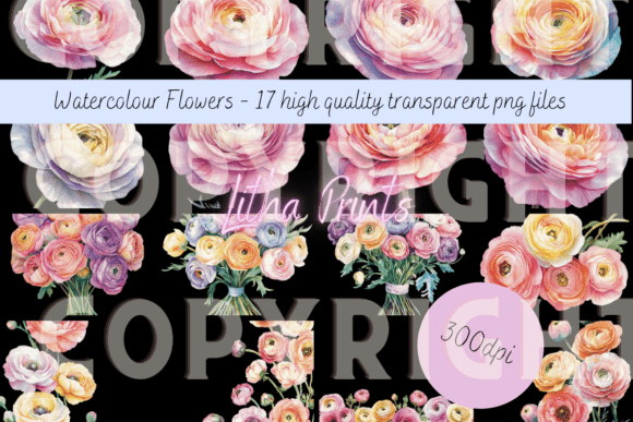 The Soft Elegance of Watercolour Ranunculus in Design