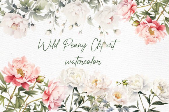 Wild Peony Clipart: Watercolor Peonies for Designers
